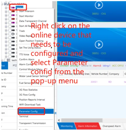 Client plug-in format